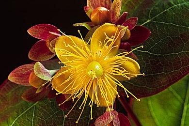 育碧高管称游戏剧情再好 如果不好玩也就无法吸引玩家