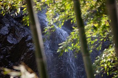激烈竞争的战略游戏《小兵大战》于10.12在主机平台发布， 在像素大战中尽情蹂躏吧！